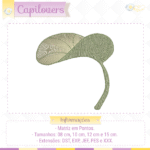 Coleção Capilovers - Imagem 20