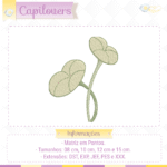 Coleção Capilovers - Imagem 21